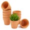 10-Pack 2-Inch Mini Terracotta Pots with Drainage Holes for Succulents, Plants, Herbs, and Flowers, Small Clay Pot Planters for Indoor and Outdoor Gardening, Crafts